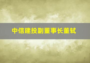 中信建投副董事长董轼