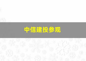 中信建投参观