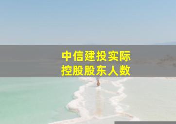 中信建投实际控股股东人数