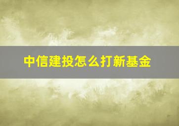 中信建投怎么打新基金