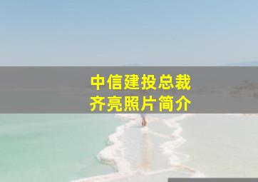 中信建投总裁齐亮照片简介