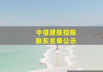 中信建投控股股东名单公示