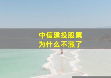 中信建投股票为什么不涨了