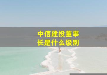 中信建投董事长是什么级别