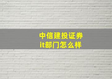 中信建投证券it部门怎么样