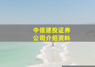 中信建投证券公司介绍资料