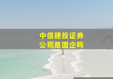 中信建投证券公司是国企吗