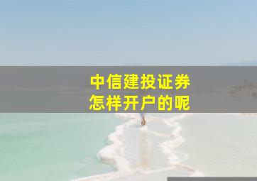 中信建投证券怎样开户的呢