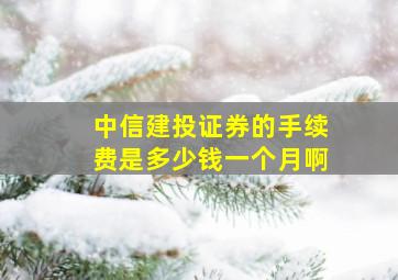 中信建投证券的手续费是多少钱一个月啊