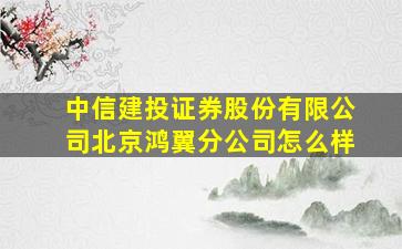 中信建投证券股份有限公司北京鸿翼分公司怎么样