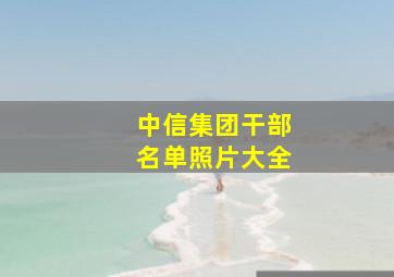 中信集团干部名单照片大全