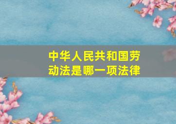 中华人民共和国劳动法是哪一项法律