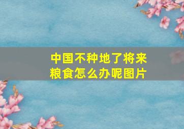 中国不种地了将来粮食怎么办呢图片