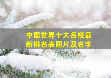 中国世界十大名校最新排名表图片及名字