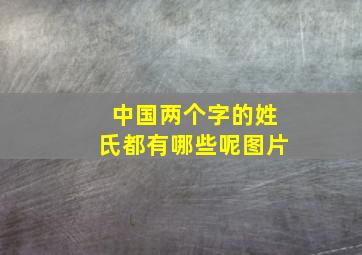 中国两个字的姓氏都有哪些呢图片