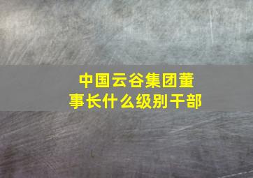 中国云谷集团董事长什么级别干部