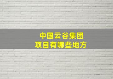 中国云谷集团项目有哪些地方