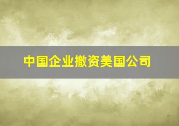 中国企业撤资美国公司