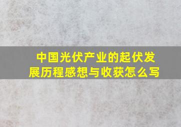 中国光伏产业的起伏发展历程感想与收获怎么写