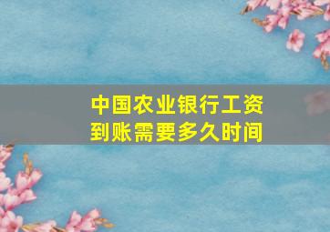 中国农业银行工资到账需要多久时间