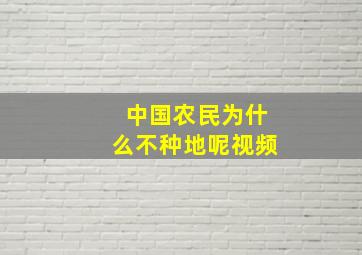 中国农民为什么不种地呢视频