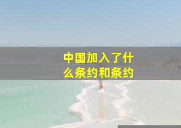 中国加入了什么条约和条约