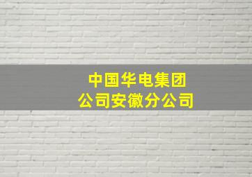 中国华电集团公司安徽分公司