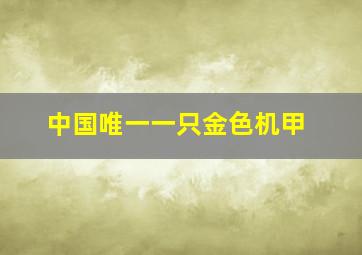 中国唯一一只金色机甲