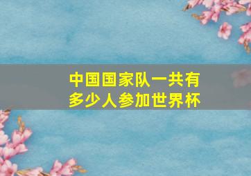 中国国家队一共有多少人参加世界杯