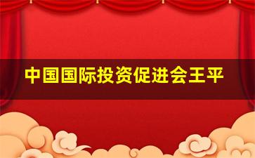 中国国际投资促进会王平