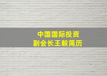 中国国际投资副会长王毅简历