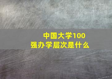 中国大学100强办学层次是什么