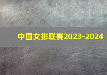 中国女排联赛2023-2024