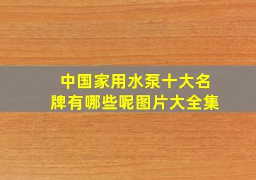 中国家用水泵十大名牌有哪些呢图片大全集