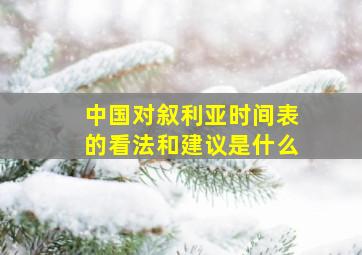 中国对叙利亚时间表的看法和建议是什么