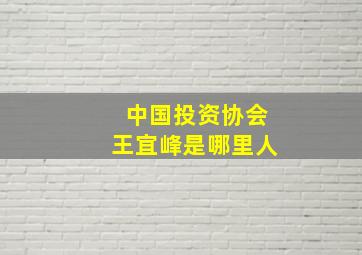 中国投资协会王宜峰是哪里人