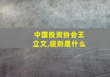 中国投资协会王立文,级别是什么