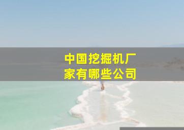 中国挖掘机厂家有哪些公司