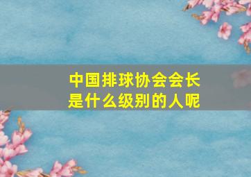 中国排球协会会长是什么级别的人呢