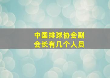 中国排球协会副会长有几个人员