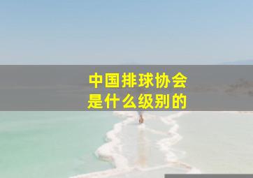 中国排球协会是什么级别的