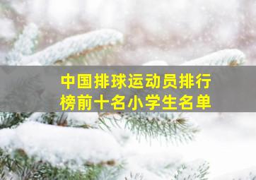 中国排球运动员排行榜前十名小学生名单