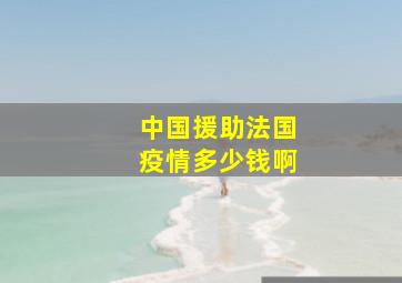 中国援助法国疫情多少钱啊