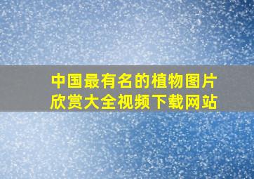 中国最有名的植物图片欣赏大全视频下载网站