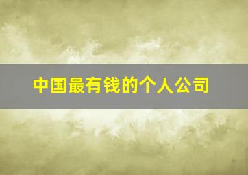 中国最有钱的个人公司