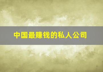 中国最赚钱的私人公司