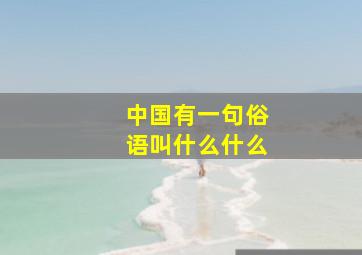 中国有一句俗语叫什么什么