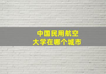 中国民用航空大学在哪个城市