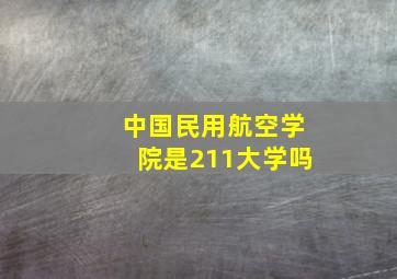 中国民用航空学院是211大学吗