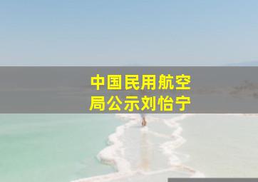 中国民用航空局公示刘怡宁